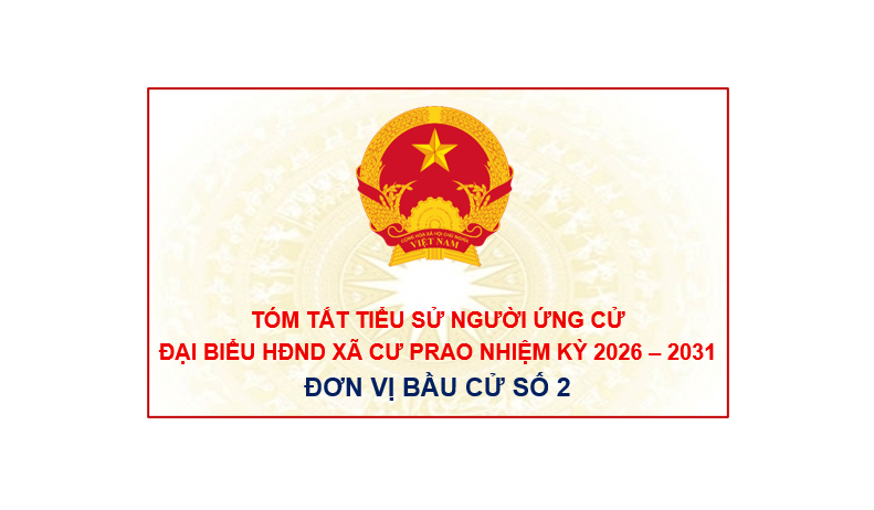 (Infographic) Tiểu sử tóm tắt các ứng cử viên đại biểu HĐND xã Krông Nô, nhiệm kỳ 2026 – 2031: Đơn vị bầu cử số 2