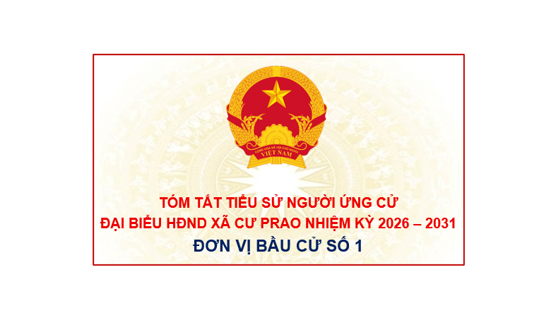 (Infographic) Tiểu sử tóm tắt các ứng cử viên đại biểu HĐND xã Krông Nô, nhiệm kỳ 2026 – 2031: Đơn vị bầu cử số 1