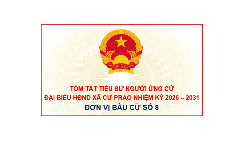(Infographic) Tiểu sử tóm tắt các ứng cử viên đại biểu HĐND xã Krông Nô, nhiệm kỳ 2026 – 2031: Đơn vị bầu cử số 8
