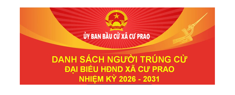 (Infographic) Danh sách 21 người trúng cử đại biểu HĐND xã Krông Nô nhiệm kỳ 2026 – 2031